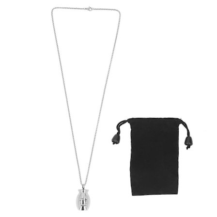 Kæledyrsurne Halskæde Rustfrit Stål Graveret Mindesmærke Kæledyrsaske Smykker til Kæledyr Kat Hundeaske