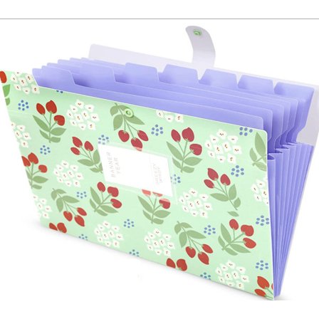 A4 Laajennettava kansio 6 lokerollinen, vedenkestävä, joustava