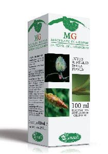 Castagno Macerato Di Gemme 100ml