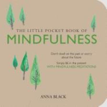Little pocket book of mindfulness 9781782492030