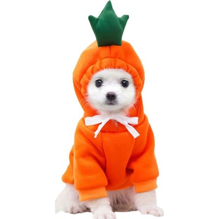 Valp Hund Hettegenser Katt Hettegensere Dyreklær Trendy Frukt Genser for Hund Katt Små Mellomstore Kjæledyr, Gulrot