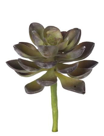Flora Succulent Home Decoration Paper Flowers Vihreä Lene Bjerre