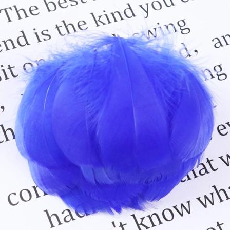 100 stk./sæt Farvede Gåsefjer 5-8 cm 8-12 cm Naturlige Fjer Håndværk til Bryllup DIY Håndværk Drømmfangere Dekorative Fjer Royal Blue 100PCS 5-8CM