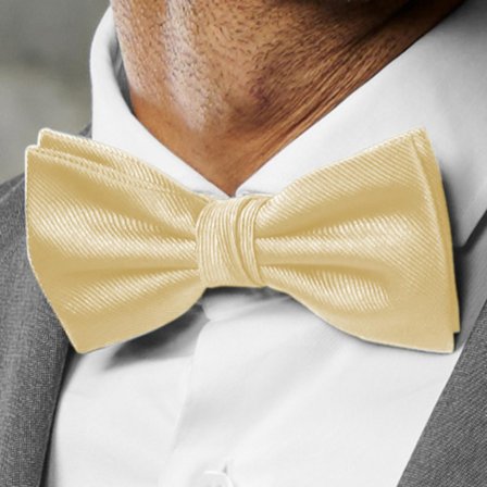 Samppanjanvärinen sidottu loimiripsirusetti miehille - Solmitut rusetit