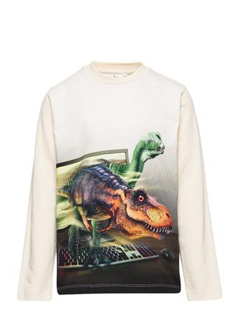 Reif T-shirts Long-sleeved T-shirts Multi/mönstrad Molo