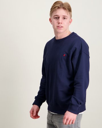 Replay Jumper Blå Trøjer Dreng - Kids Brand Store