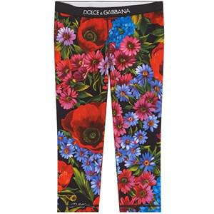 Kids - Dolce & Gabbana Floral Leggings Prato fdo. Nero 24-30 Months - Bottoms - 24-30 months - Red