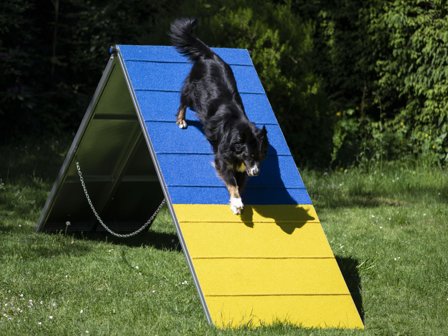 Agility Profi Møne i Aluminium PRO-serie