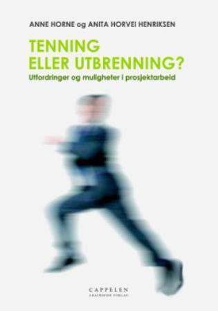 Tenning eller utbrenning? - Bok av Anne Horne & Anita Horvei Henriksen - Paperback
