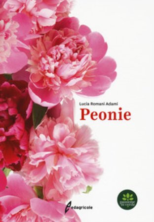Peonie Lucia Romani Adami