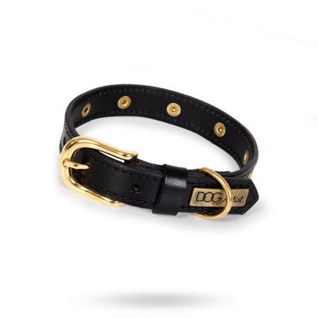 DOGArtist - RIVET Black Gold - Läder Hundhalsband- Hundhalsband