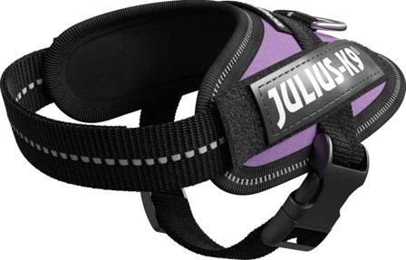 Julius-K9 Idc Harness Baby 1 Dog Harnesses & Dog Collars Purple Baby 1