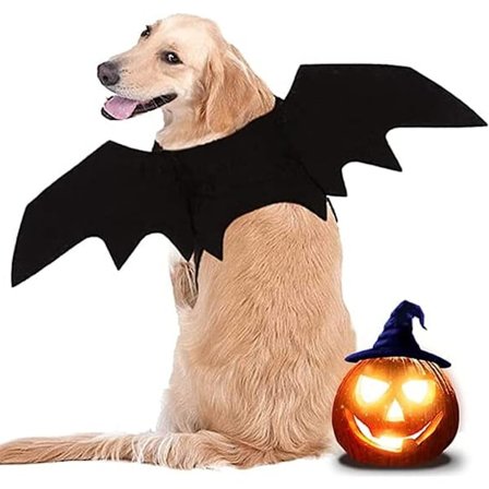 Hundfladdermusvingar, Halloweenkostym för hund, Stor hundkostym, Fladdermuskostym för hund