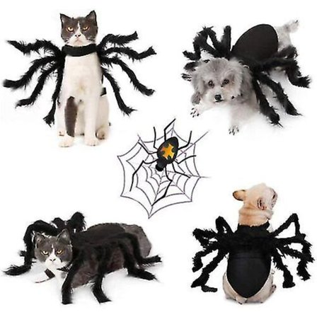 Svart Spider Kostym Katt Hund Valp Husdjur Halloween Kläder Outfit Spider Cosplay W