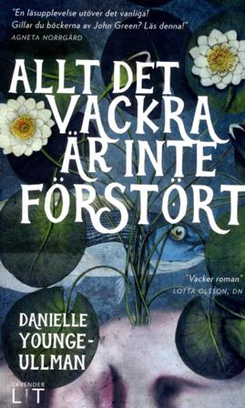 Allt det vackra är inte förstört - Bok av Danielle Younge-Ullman - Pocket