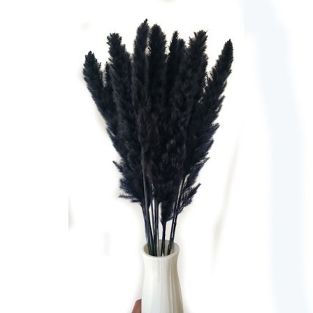 30 st 30 cm svarta Pampa-buketter, torr vas, bohemisk dekoration