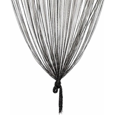 Trådgardin 100 x 200 cm - Svart rumsavdelare, myggnät, fönster- och dörrdekor, idealisk för sovrum, bröllop, trädgård - franspanel