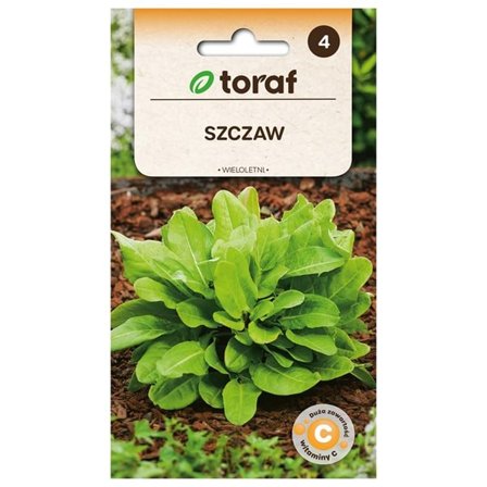 Frö till ängssyra Rumex Acetosa – Näringsrik och flerårig ört