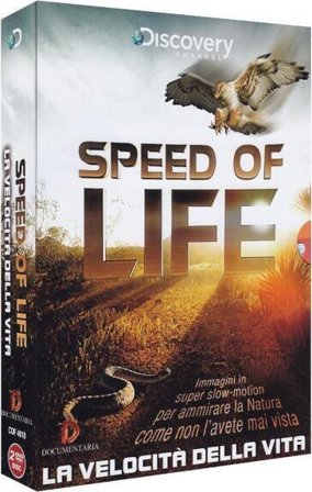 Speed Of Life - La Velocita' Della Vita (2 Dvd)