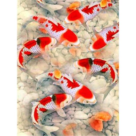 30x40cm 5D DIY Diamantmaleri Fuld,Serie Fisk#F,DIY Diamant