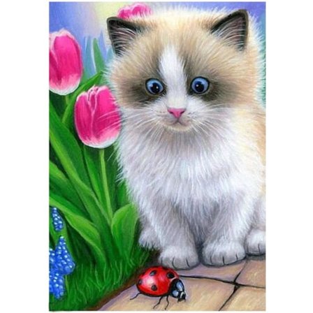 30*40cm 5D timanttimaalaussetti Ragdoll-kissa Lily Ladybug