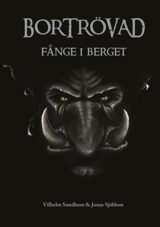 Fånge i berget - Bok av Vilhelm Sundbom - Kartonnage