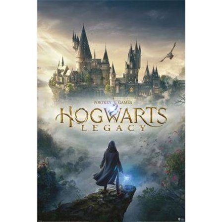 HOGWARTS LEGACY (WIZARDING WORLD UNIVERSE)