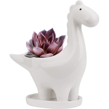 Keramisk sukkulentpotte med skål, dinosaurformet kaktuspotte (ingen plante)