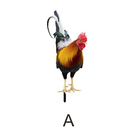 Hane statuer Skulpturer Kyllingdekorasjoner A A