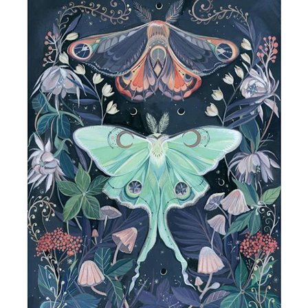 Mandarin and Butterfly Diamond Painting, Full Diamond, Diamond Art