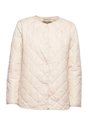 Sc-Fenya Cream Soyaconcept