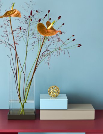 Mojoo Lux Lak Æske - Brown - 38X19X7CM