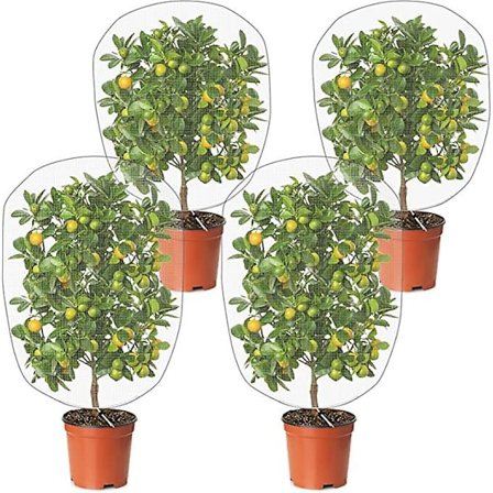 Fågelbarriärnät Mesh med dragsko Stor trädgårdsnät Växtnätsskydd för växtskydd (4, 3,2 x 4,9 fot, 2,6 x 3,2 fot)