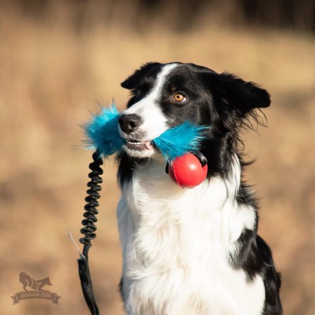 Doggie-Zen Elastisk Hundeleke med Fuskepels og KONG Ball - S