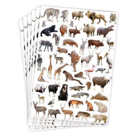 Stickers - Exotiska Djur - 300 St Klistermärken