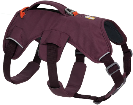 RuffWear Web Master Harness valjaat, Purple Rain
