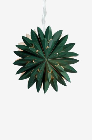 PR Home - Stjerne Hyacint - Grønn - Adventsstjerner - Fra Homeroom