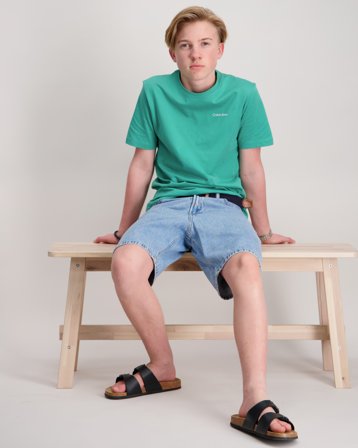 Calvin Klein CHEST INST.LOGO SS T-SHIRT Grøn T-shirts Dreng - Kids Brand Store