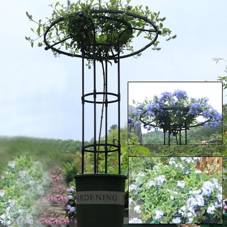 Havegitter til klatreplanter og blomster, Metal plantegitter til udendørs brug snngv