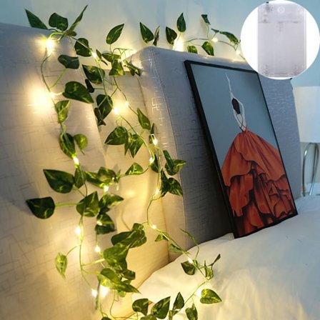 LED String Lights Fairy Lights 5MD D