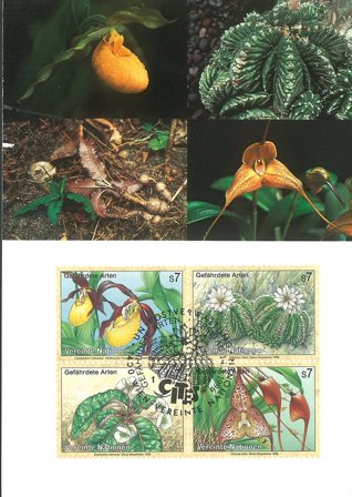 FN Wien - Truede planter - Maximumskort