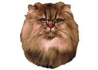 Perser creme - klistremerker