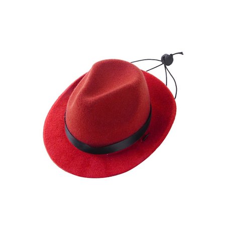Pet Hund Cowboy Hat Hunde Caps RØD
