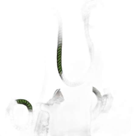 Mini rodini tasselfilt