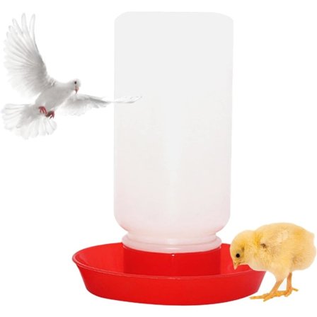 Kylling Vannautomat Fjærkre Mater Kylling Mater Vannautomat Verktøy Kylling And Vaktel Fjærkre Mater Kylling Vannautomater Mater