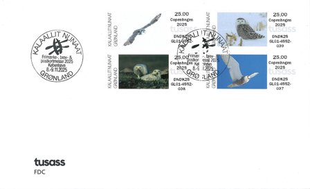 Grønland - Frankeringsmærker 2025: Sneugler København - CPH - Førstedagskuvert
