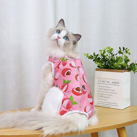 Katt återhämtningsdräkt katt sterilisering kläder andningsbar krage alternativ