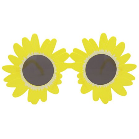 Kvinder Festsolbriller e Sun Flower Daisy Solbriller Funny Par