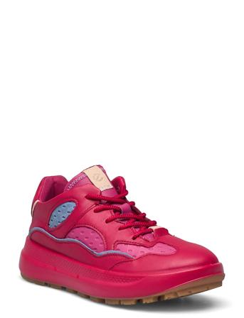 Solice K Red ECCO