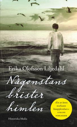 Någonstans brister himlen - Bok av Erika Olofsson Liljedahl - Pocket